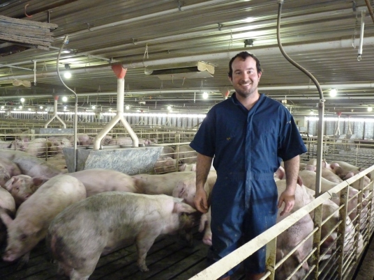 Ryan Pickard in his hog barn