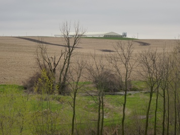 Looking from Garrison's farm towards the Cafo